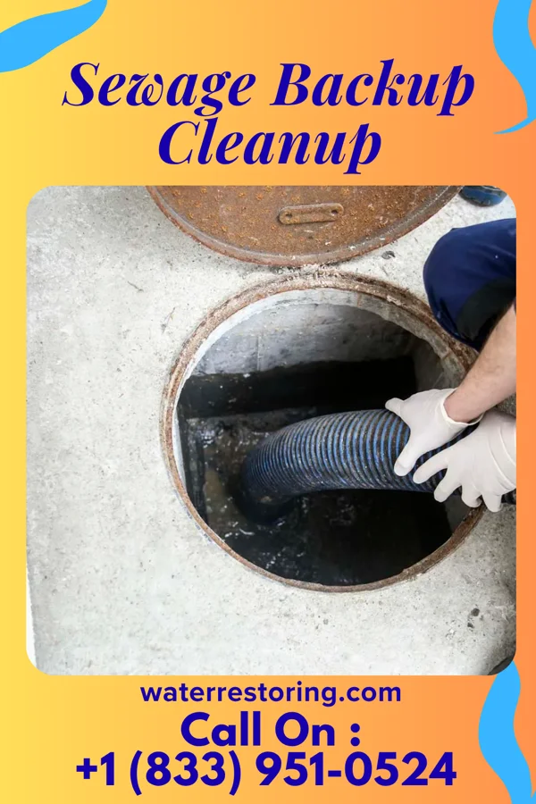 Sewage Backup Cleanup in Berthold, ND